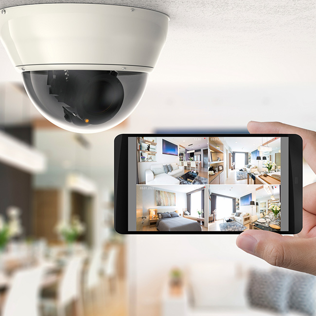 CCTV & Perimeter Protection