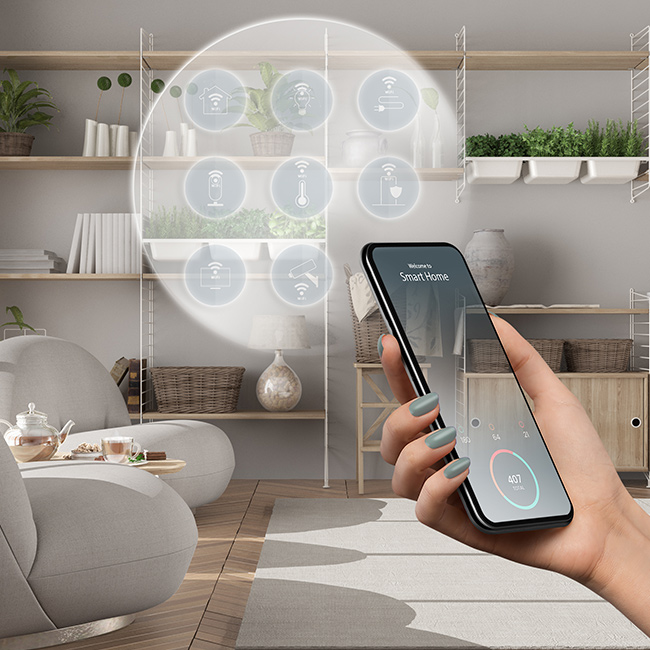 Smart Home Solutions & Unique Experiences 
