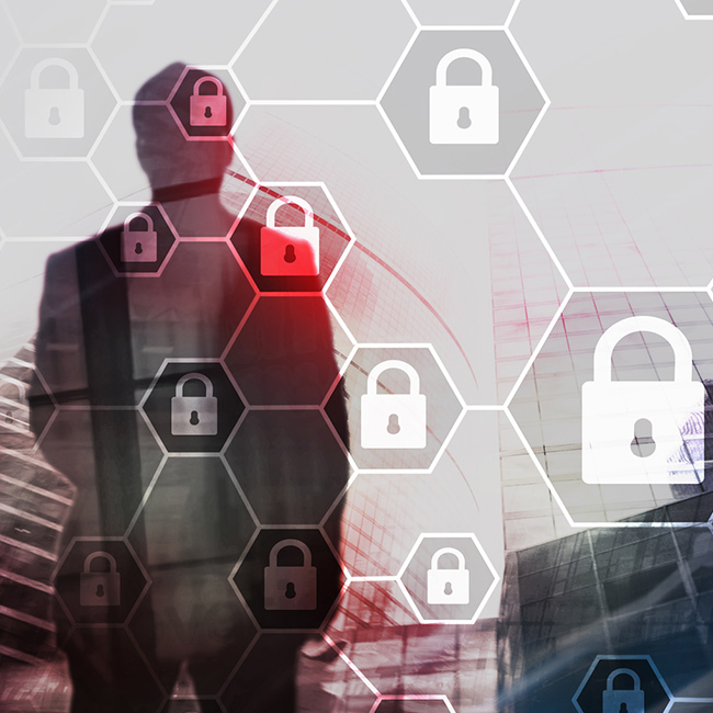 Technology Risk Assessment & Security