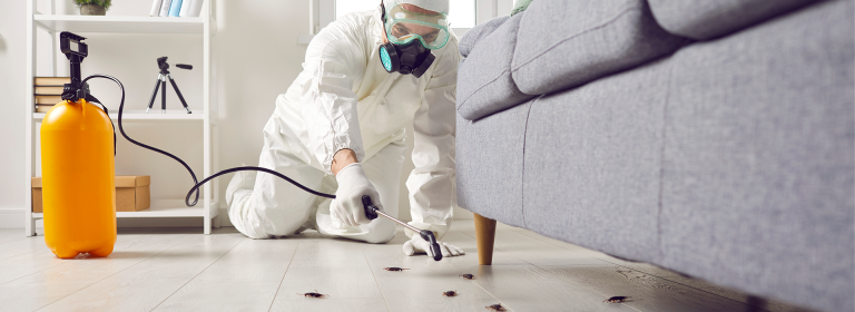 Pest Control Near Me: Protecting Homes & Businesses in Dubai